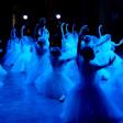 Syncing Steps with Sounds: Top Music Picks for Ballet Enthusiasts