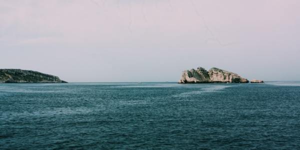 Ballet in the Heart of Virginia: Exploring Lowes Island City's Premier Dance Training Centers