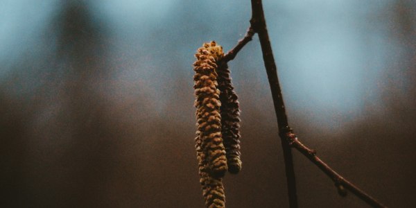 **Stephen Nedoroscik: A Journey of Resilience, Triumph, and Dance**  
