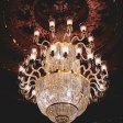 **Why San Francisco’s Weirdest Events Are Its Best Kept Secrets**  