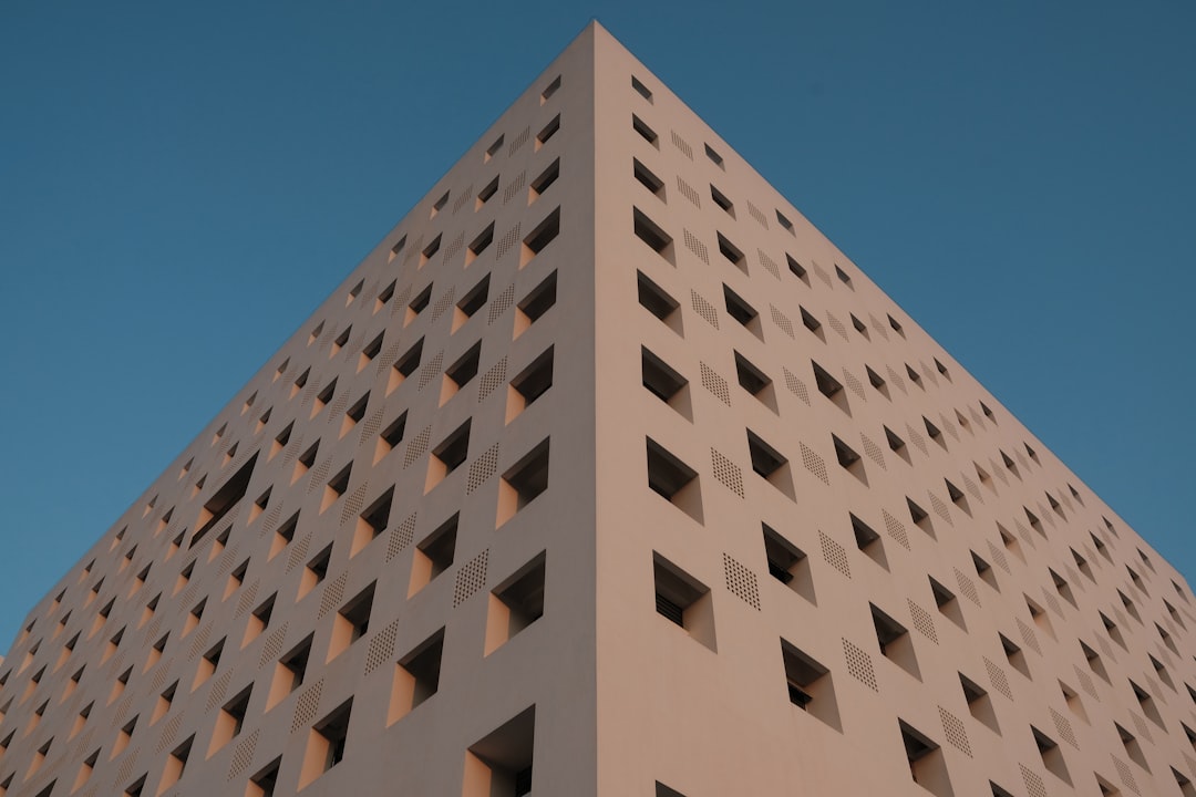 The 5 Dance Studios in Bear Dance City That Actually Changed How I Move