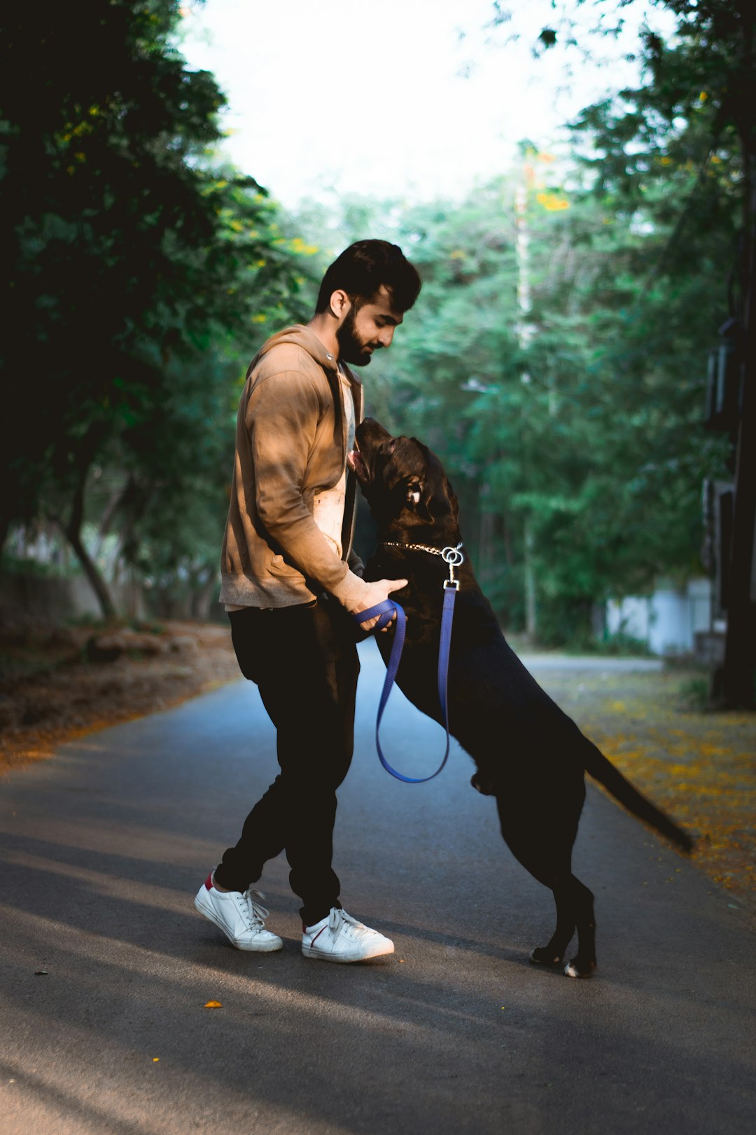 Step Up Your Game: Premier Tap Dance Training in Monrovia