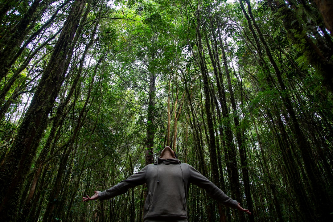 These Songs Don't Just Set the Mood — They Teach You How to Move