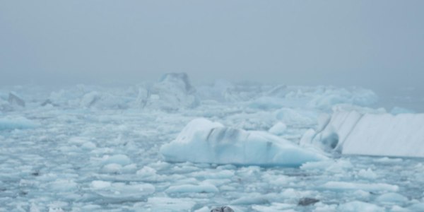 Discovering the Hidden Gems: Top Ballet Training Institutions in Tununak City, Alaska