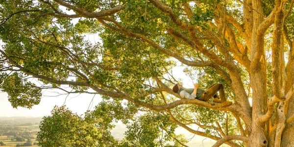 The Fusion of Nature & Movement: Contemporary Dance Schools in Lookout Mountain's Scenic Backdrop