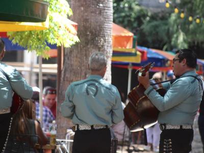 Discover Capoeira in Glennville: Top Local Training Studios & Academies