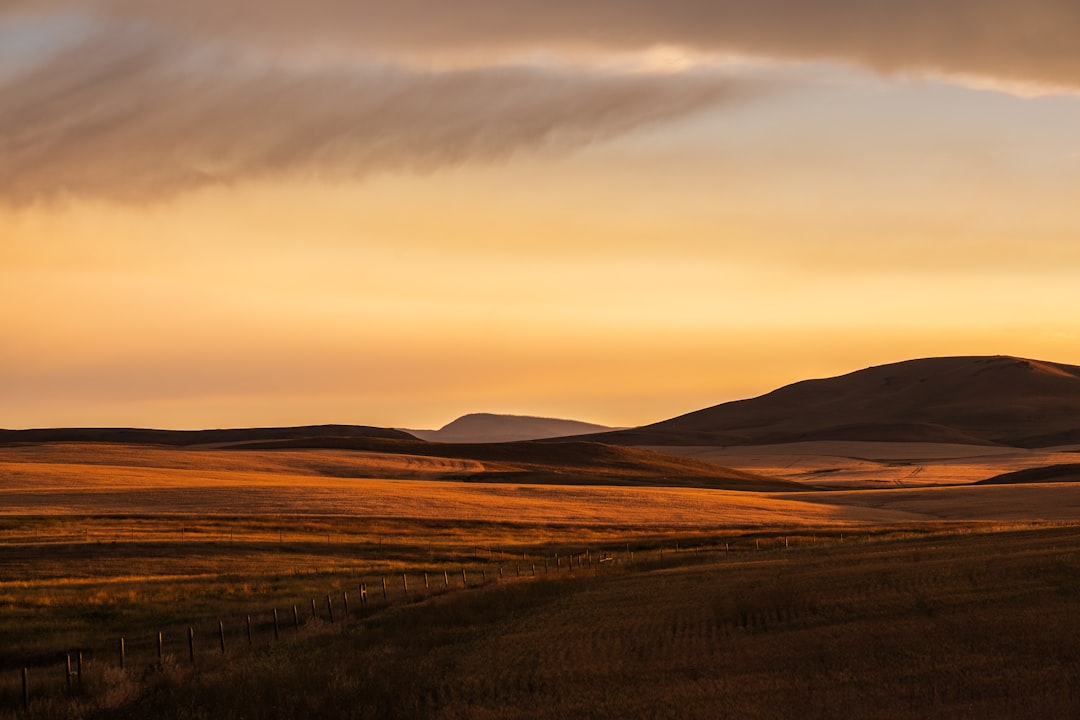 Ballet Training in San Jose, CA and New Mexico: A Regional Guide to Pre-Professional Programs