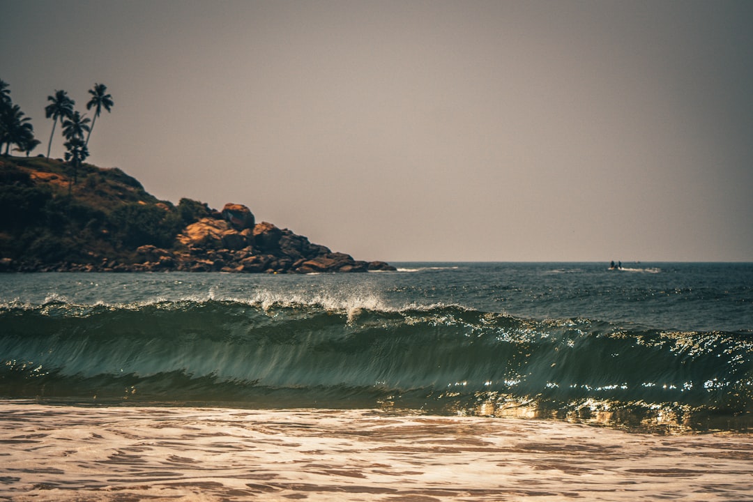 From Kitchen Steps to Center Stage: What It Actually Takes to Become a Professional Folk Dancer