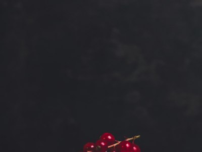 **Beyond the Basics: Music to Master Your Next Ballroom Style**