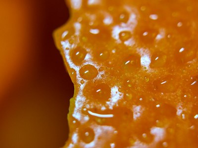 Level Up Your Hip-Hop in the Adirondacks