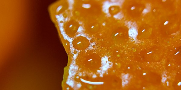 Level Up Your Hip-Hop in the Adirondacks