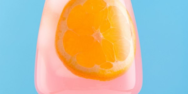 The Professional's Path: A Guide to Earning a Living with Capoeira