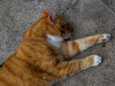 **Krump's Perfect Beat: Top 5 Music Genres to Fuel Your Battle**