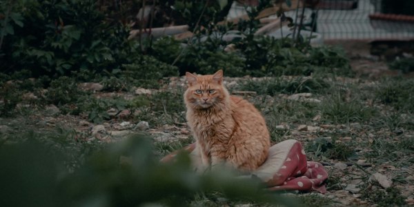 Dressing for the Dance: Essential Swing Clothing Tips for Beginners