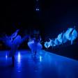 Intermediate Swing Dance: The Secret to Improving Your Footwork and Timing