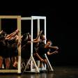 The Power of Expression: A Beginner's Guide to Contemporary Dance - Explore the emotional and expressive aspects of Cont...