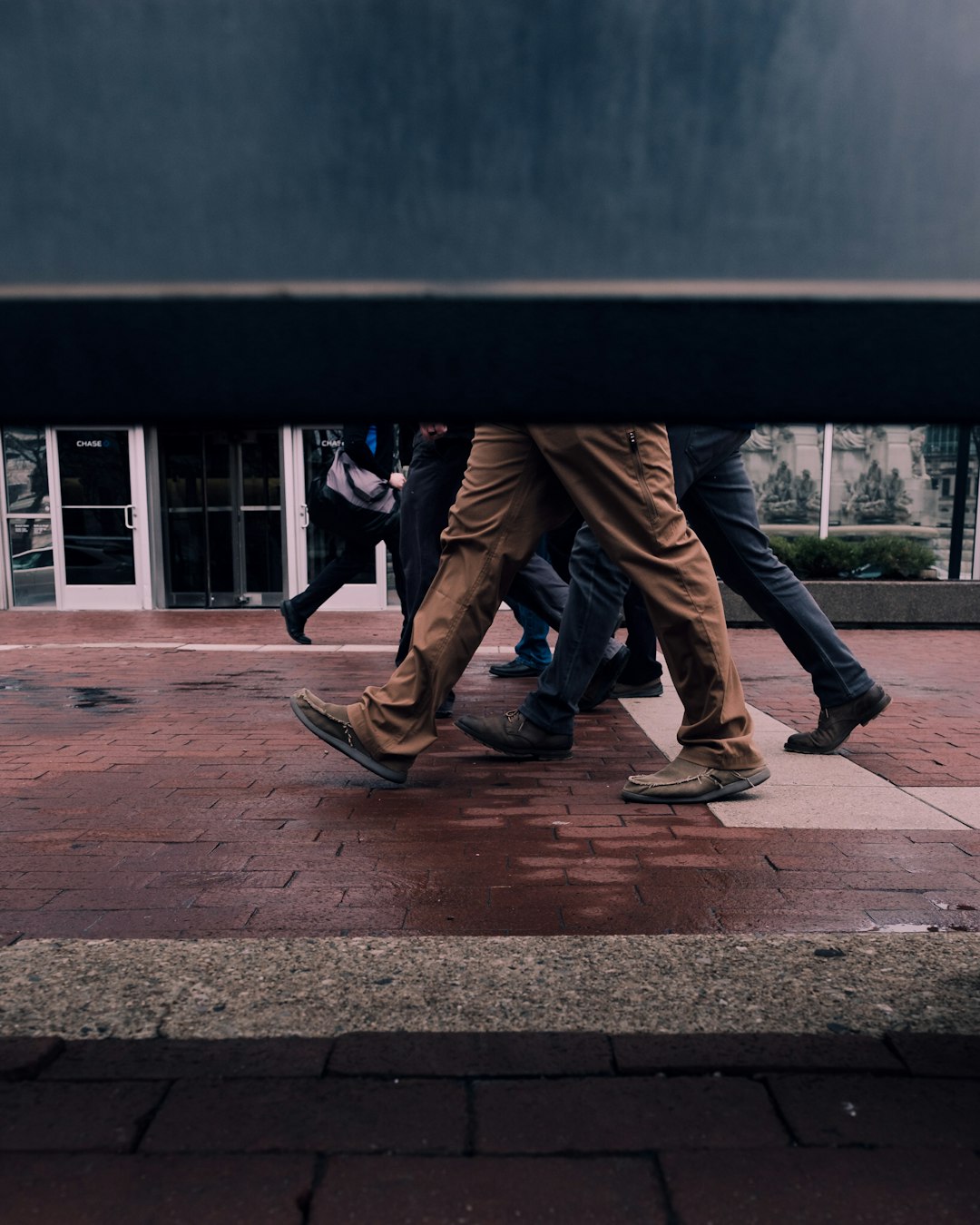 Lost Your Dancing Shoes? Here's Where Swift Bird City Actually Learns to Move