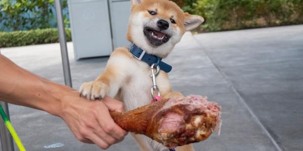 From Studio to Stage: Your First Steps Toward a Professional Lyrical Dance Career