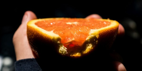 Elevate Your Art: Premier Ballet Training Institutions in Tarrant City