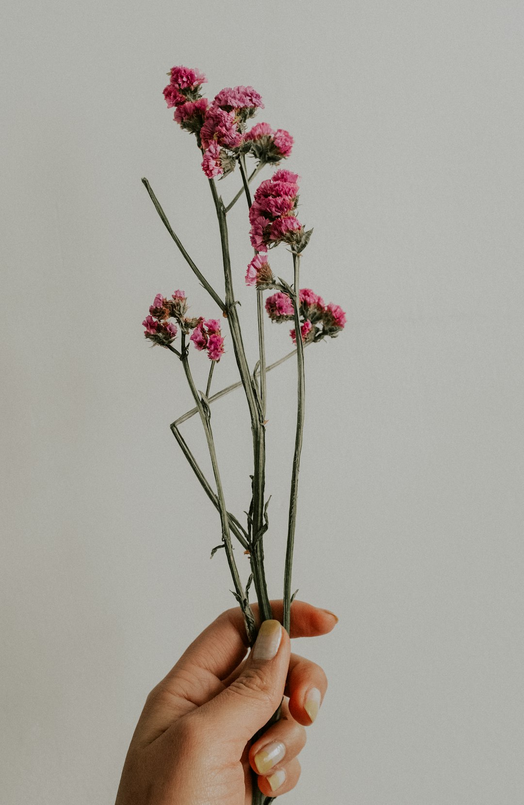 Beyond the Barre: Finding Your Ballet Home in Shiloh City