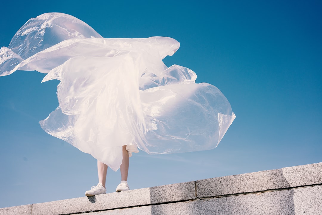 Ballet Training Near Fridley: A Guide to Minnesota's Top Dance Programs for Aspiring Dancers
