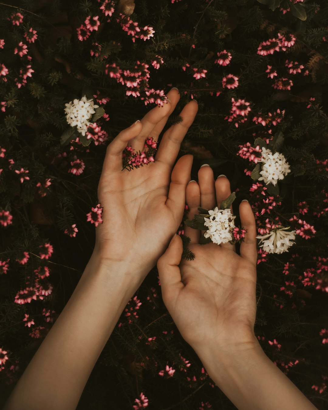 Overland Park Ballet Studios: A Dancer's Guide to Finding Your Training Match