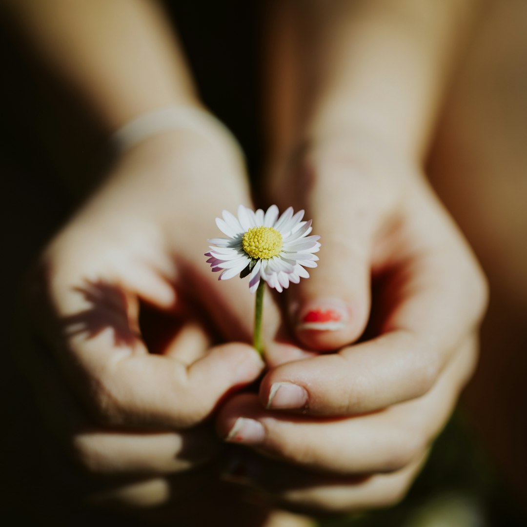 Finding the Right Fit: A Parent's Guide to Ballet Training in Tracy, California
