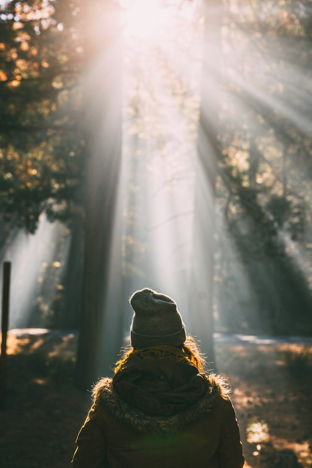 Best Ballet Training Near Spring Valley Village, Texas: A Guide for Aspiring Dancers