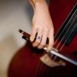 Discover the Rhythm of Emmonak: A Guide to Local Ballroom Dance Training Institutions