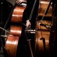 Your Ultimate Flamenco Playlist: Must-Have Music for Practice and Performance in 2025. Curating the perfect sonic landsc...