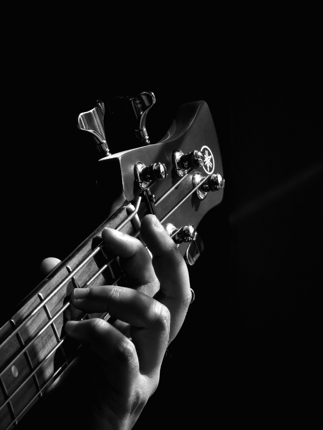 Why Your Brain Craves the Raw Power of Flamenco and Bhangra (It's Science)