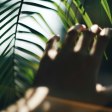 **The Battle for Ballet: A Reflection on ‘Étoile’ and the Art of Survival**  