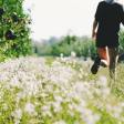 Square Dance for Fitness: How to Get in Shape While Having Fun on the Dance Floor