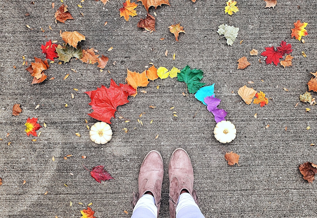 Finding the Right Fit: A Practical Guide to Ballet Training in Vacaville, California