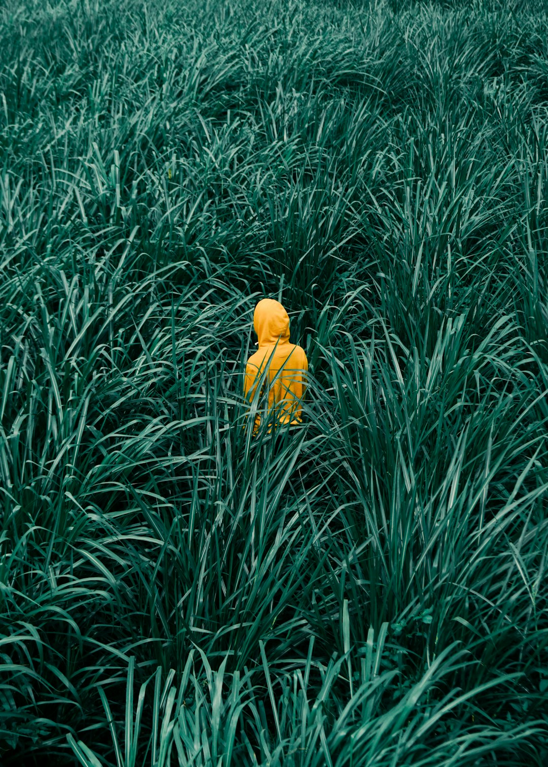The Songs That Made Me a Lindy Hopper (After Years of Bad Playlists)