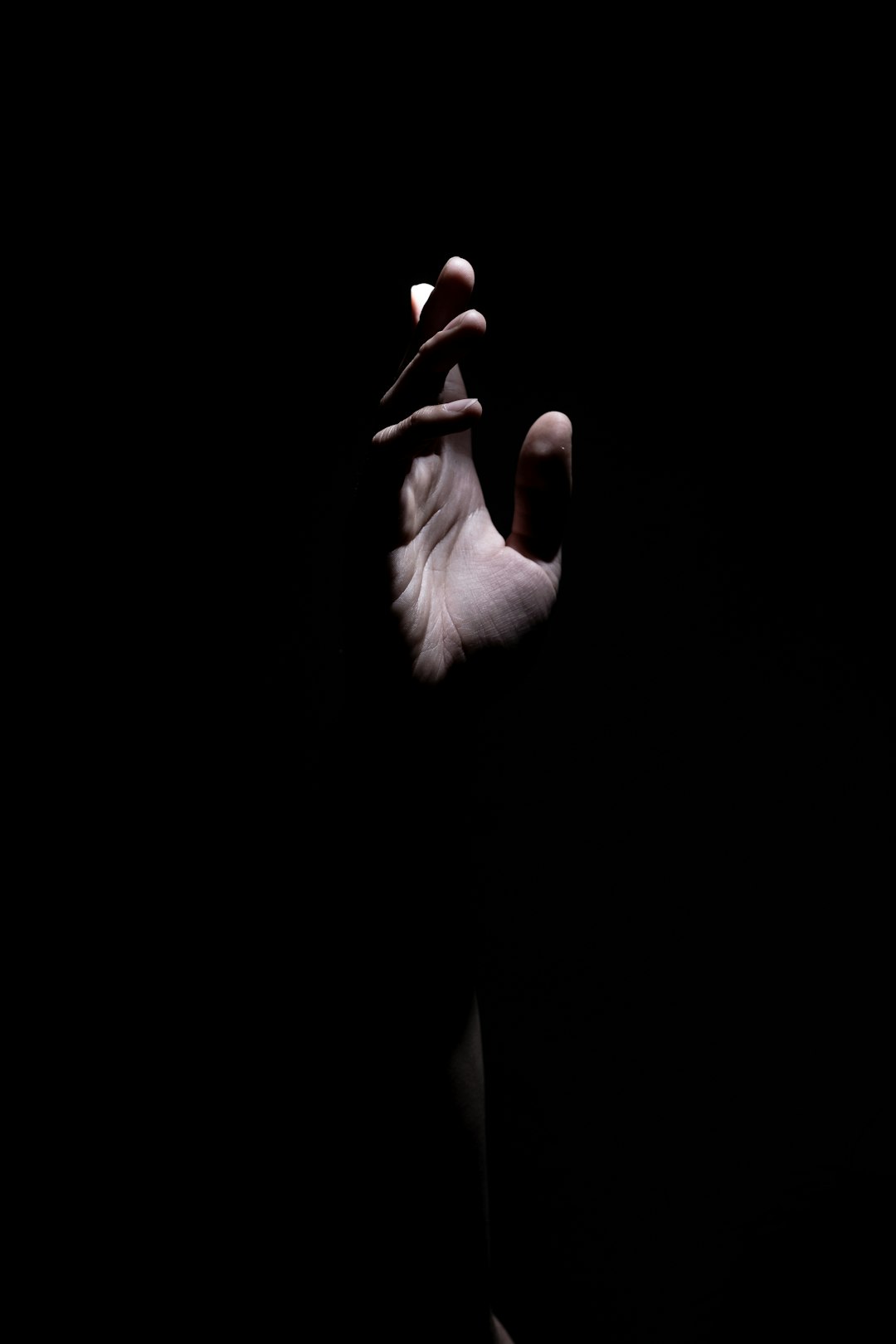 **"Top Ballroom Dance Tracks to Elevate Your Routine"**