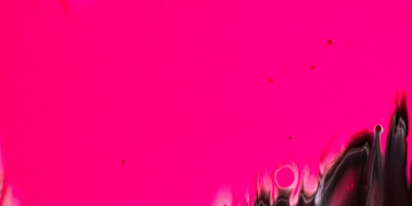 Stepping into Community: Top Square Dance Training Spots in Lamington, NJ