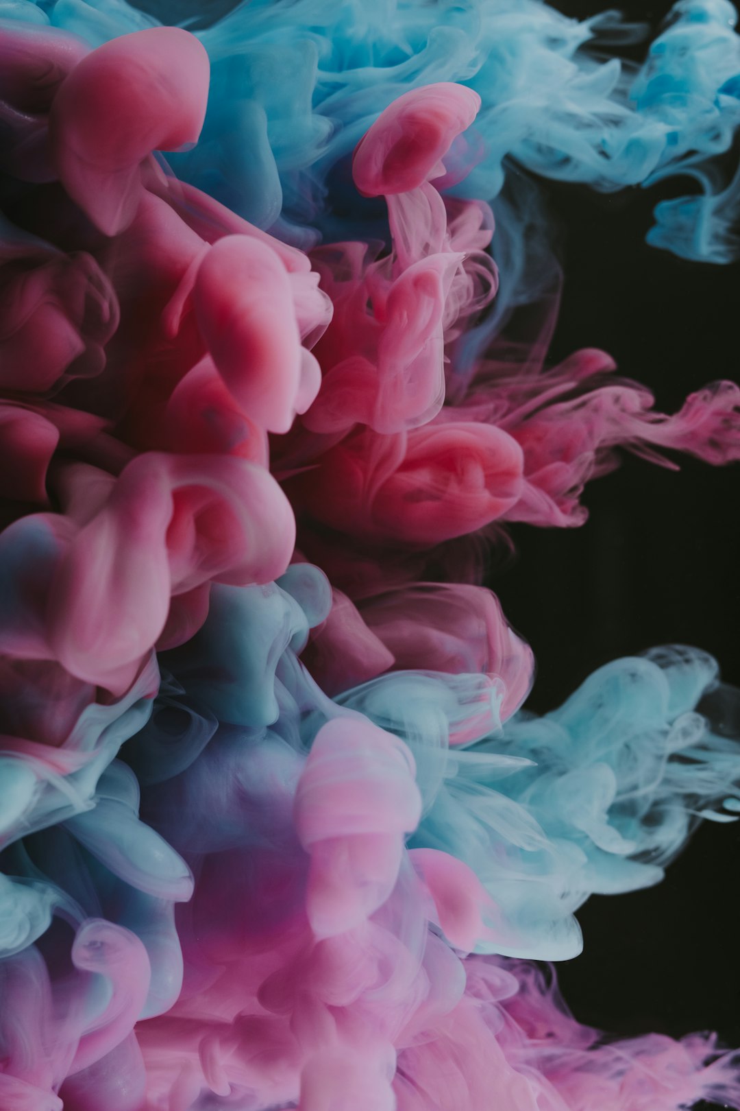 "Breaking into the Dance World: Essential Steps for Aspiring Professionals"