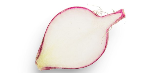 # The Lion's Heartbeat: Why Sifu Tan's Roar Matters More Than Ever