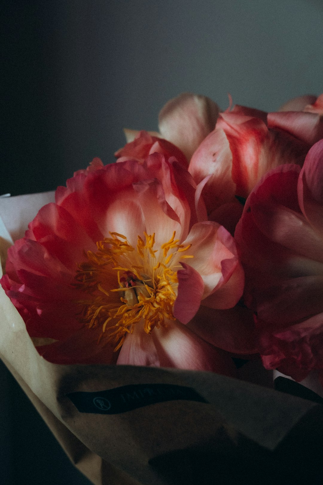 3 Ballet Studios in Warren, Michigan: A Parent and Dancer's Guide to Finding Your Perfect Fit
