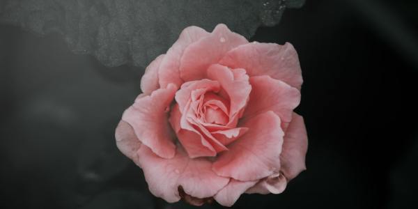 **Why Audrey MacLean’s 