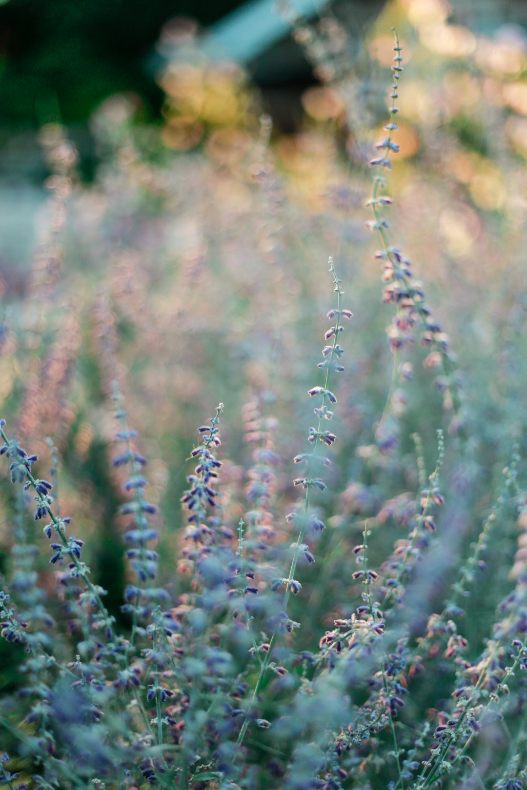 Ballet Training Near Quanah, Texas: A Practical Guide for Small-Town Dancers