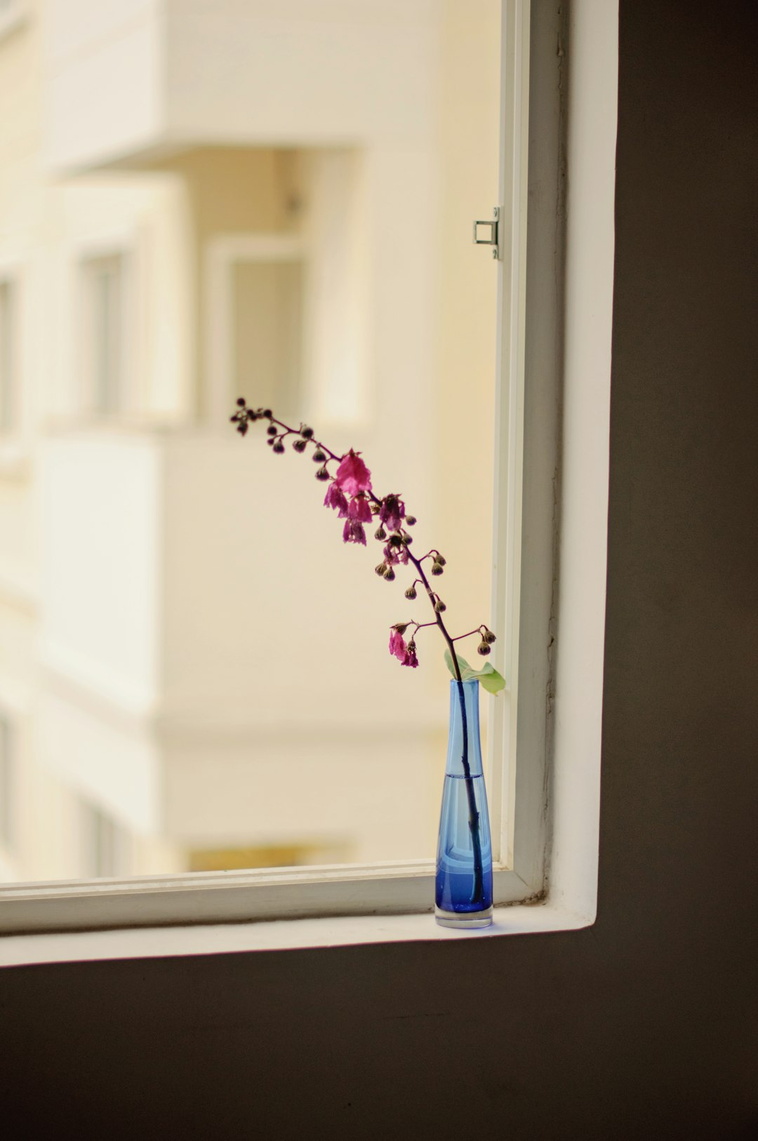 Four Studios, Four Paths: Finding Your Ballet Home in Aliso Viejo