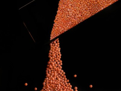 Mastering the Business of Dance: Key Steps to Launch Your Professional Salsa Journey