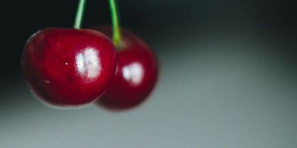 The Advanced Dancer's Guide to Partnership: Leading and Following with Nuance and Connection.