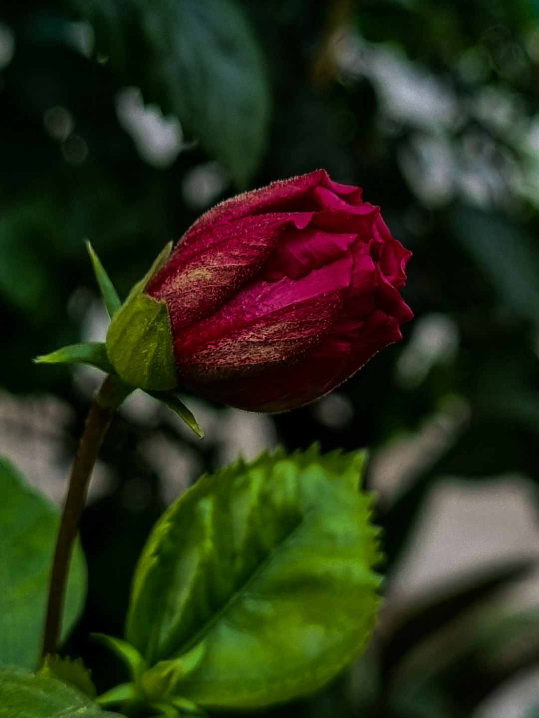 **When Jealousy Takes Center Stage: A Dance of Passion and Rivalry**  
