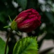 **When Jealousy Takes Center Stage: A Dance of Passion and Rivalry**  