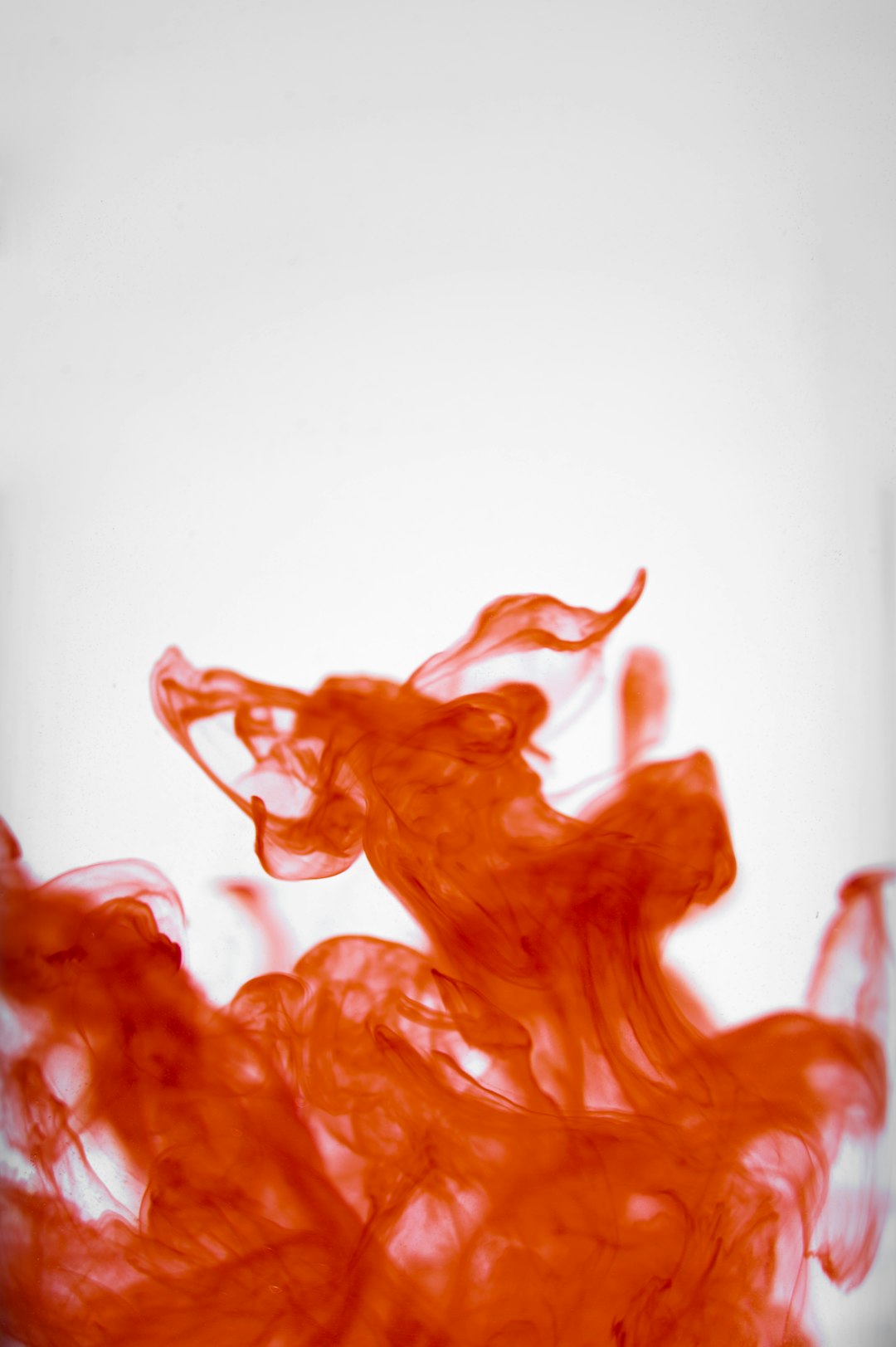 ### When Ballet Meets Bourbon Street: A Night of Unexpected Magic