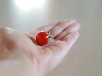 From the Streets to Saranac Lake: Hip-Hop Training Grounds