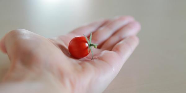 From the Streets to Saranac Lake: Hip-Hop Training Grounds